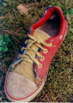 Converse_old_11.jpg